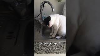 Oh My Cat Vol 2