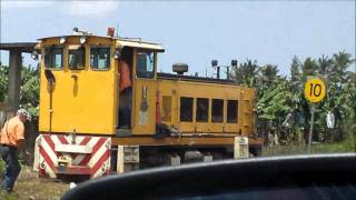 Two Cane Trains Doing Different Jobs [HD]