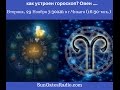 Астролог Анна Ласточкина: Как устроен гороскоп. Овен