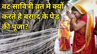 वट सावित्री व्रत मे क्यों करते है बरगद के पेड़ की पूजा Bargad Pooja