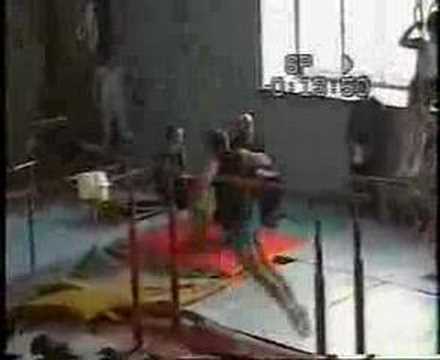 parallel bars.back uprise to support