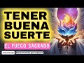 Cmo tener buena suertemensaje de los ngeles para ti  digeon  arcngel jeremiel  ens verti