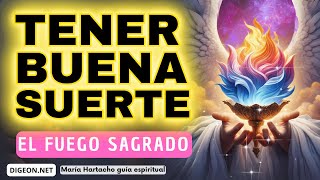 Cómo tener BUENA SUERTEMENSAJE de los ÁNGELES PARA TI  DIGEON  Arcángel Jeremiel  Ens VERTI