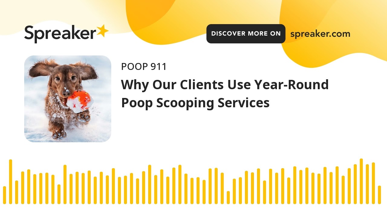 Why Our Clients Use YearRound Poop Scooping Services YouTube