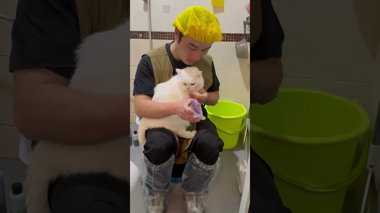 Giant Bread Bath and Maintenance: A Super Well-Behaved Pet Mystery