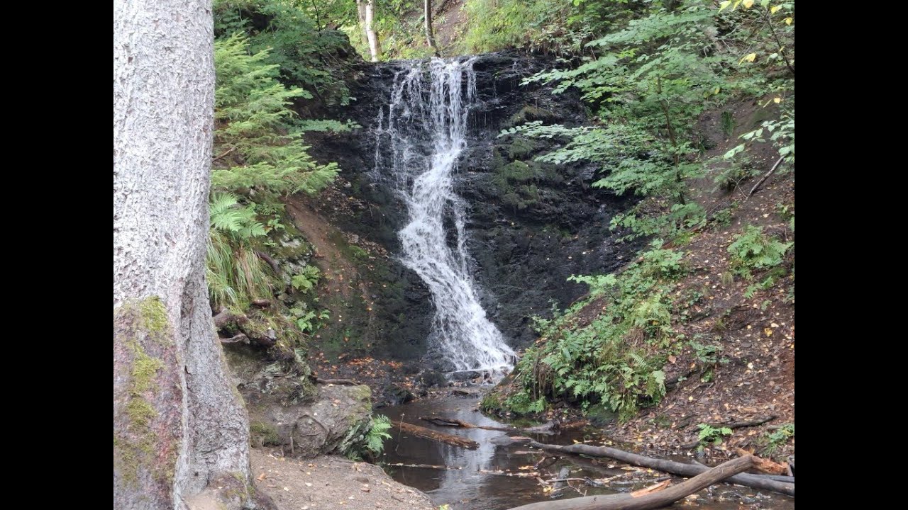 Kurze Reisen #26  Harz / Zorger Wasserfall