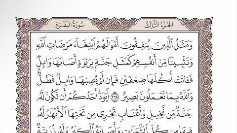 صفحة ٤٥ من القرآن الكريم مكررة ٣ مرات - الشيخ عبدالرشيد صوفي
