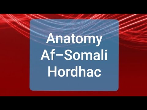 Afsomali - anatomy and physiology (anatomy casharka 1 aad) introduction (hordhac)