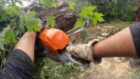 Tornado Cleanup Muffler modded Stihl ms362c 25" in red oak