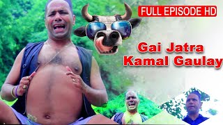 GAIJATRA | कमल गाँउले  2078 गाइ जात्रा - Kamal Gaulay Comedy Video - Budha Subba Digital