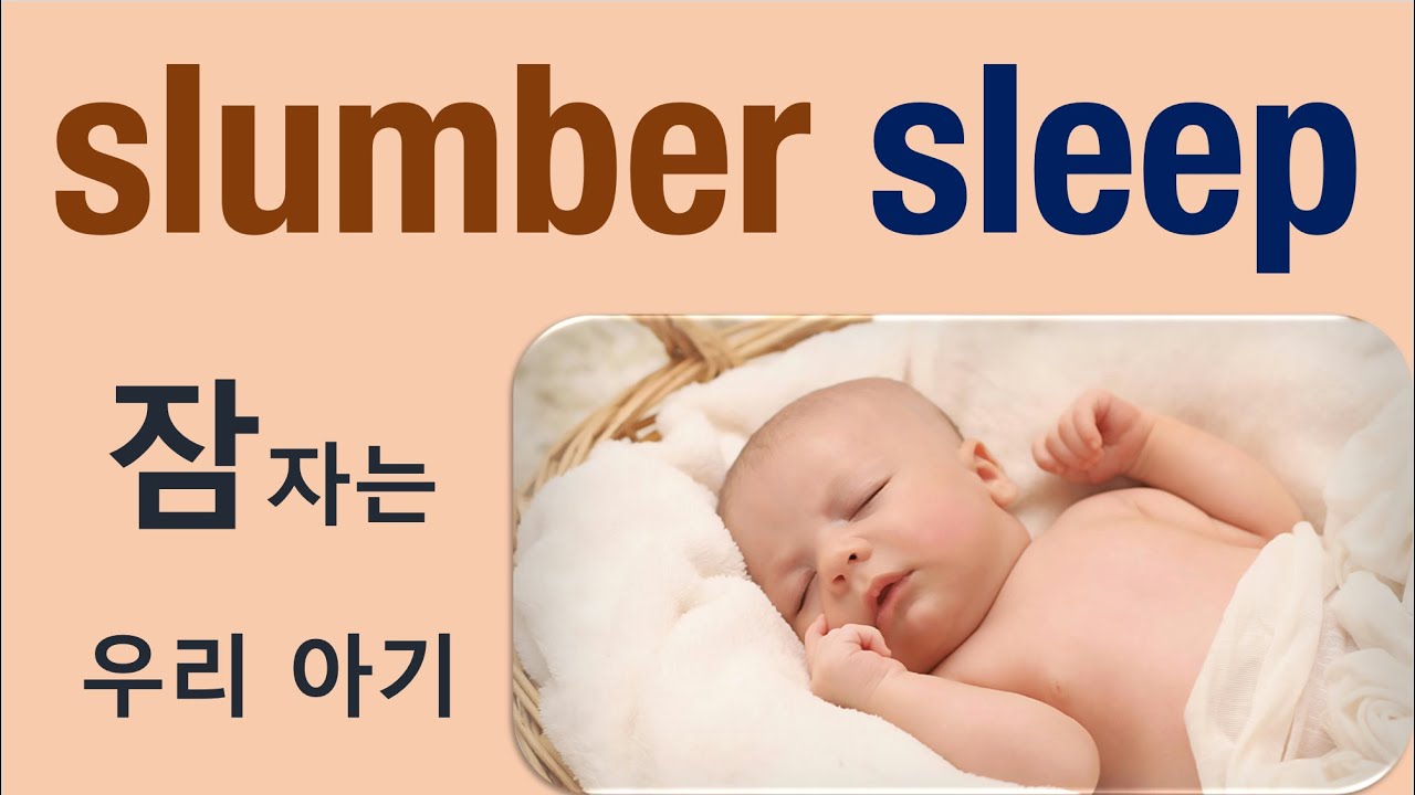 Q5 English 어휘 Lesson 2417 (수면, 잠 – sleep vs slumber)
