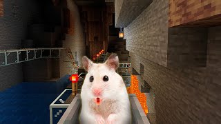 Hamster in the BEST Minecraft Mazes in Roller Coaster