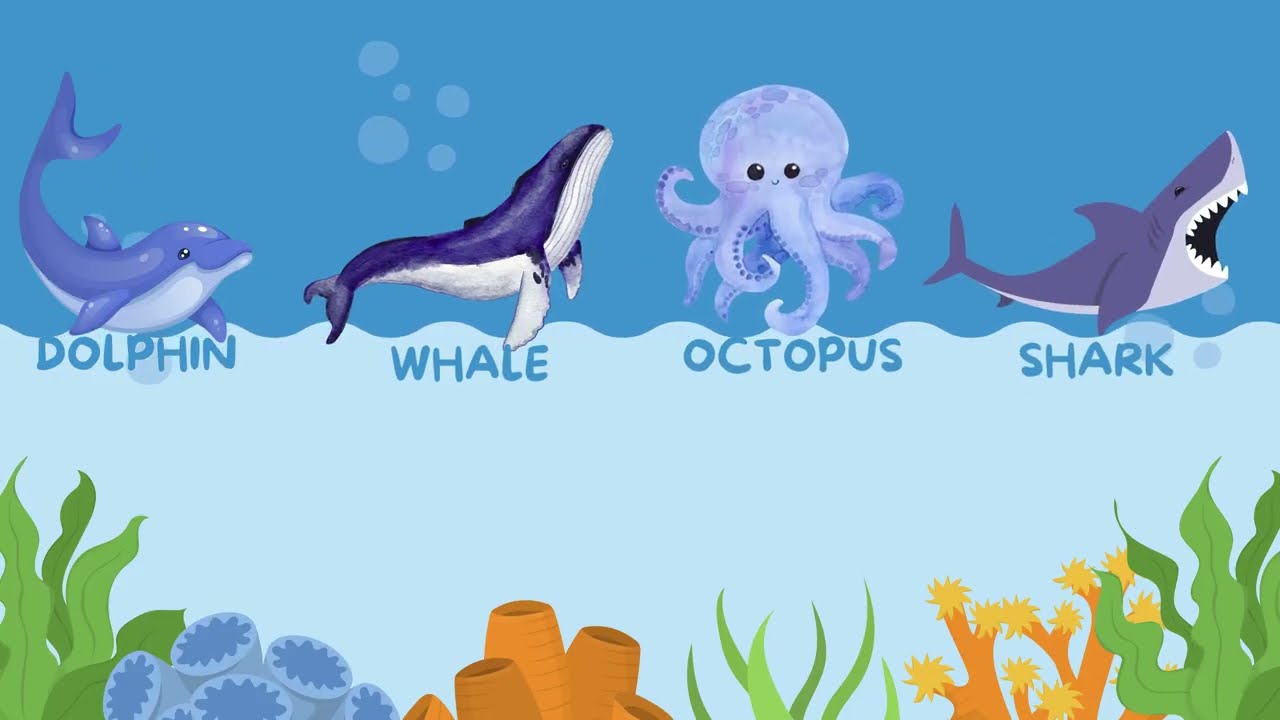 Fun Kids Challenge! Can you name all 24 sea animals?