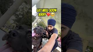 Get Well Soon Jerrymini Vlog,