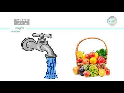 غسيل الفواكة و الخضروات (1) - المهارات الحياتية و الاسرية - رابع ابتدائي  فكري 4 - YouTube