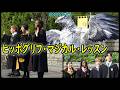 【USJ×HarryPotter】BJFAN-ヒッポグリフ・マジカル・レッスン(2026/04/12-15:35)