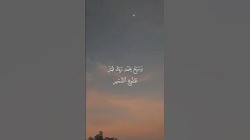تلاوة من القرآن الكريم بصوت الشيخ محمد ايوب - رحمه الله | سورة طه آية رقم ١٣٠ | تلاوة رائعة