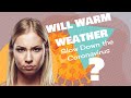 Will Warm Weather Slow Down the Coronavirus? Here&#39;s What Experts Think #Shorts