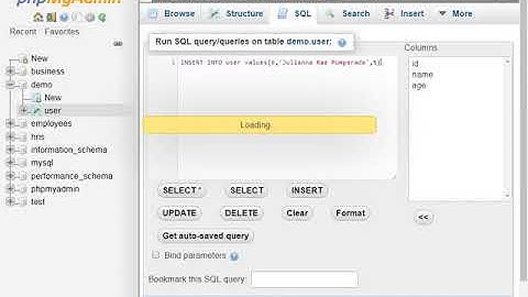 Insert a Record Using SQL in MySQL Database
