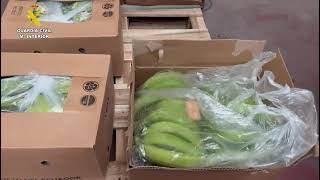 6.5 tonnes of cocaine found hidden between bananas in the Colombia and Spain Update