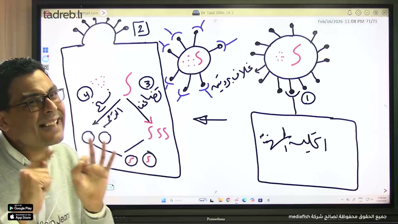 الاجسام المضادة ( اليات عملها)