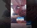 إبراهيم أراد رغيف خبز في ظل حرب التجويع لكنه ارتقى في حضن والده بمجزرة الاحتلال بحق الم جو عين إبراهيم أراد رغيف خبز في ظل حرب التجويع لكنه ارتقى في حضن والده بمجزرة الاحتلال بحق الم جو عين