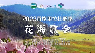 2023香格里拉杜鹃季·花海歌会 | 2023 ShangriLa Azalea Season • Flower Sea Song Festival