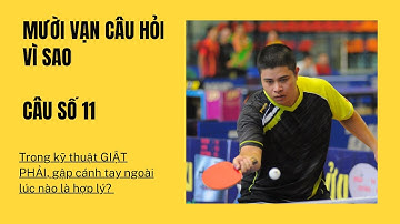 Số 11: Trong kỹ thuật GIẬT PHẢI, gập cánh tay lúc nào là hợp lý? | 10 vạn câu hỏi vì sao