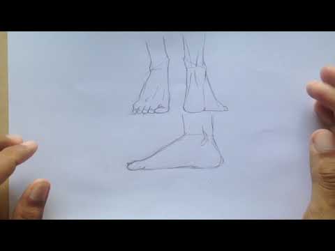 วีดีโอ: วิธีการวาดอุ้งเท้า