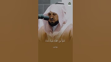 تلاوة خاشعة من سورة الزمر بصوت القارئ ماهر المعيقلي 🥰🤍 #ماهر_المعيقلي #ماهرالمعيقلي #قرآن #قران