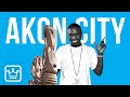 15 Things You Didn’t Know About Akon City