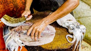 Amazing! Cutting Live Cuttlefish In Biggest Seafood Market How To Clean Squid \& Fish Cutting Skills