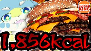 【2代目ベビーボディバーガー】肉とチーズの暴力バーガーは罪の味？【バーガーキング】