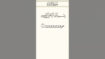سورة البقرة الآية (1) 😂😂🤣🤣