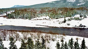 Our First Week At the Homestead | Part One | Winter Off-Grid Living in Newfoundland