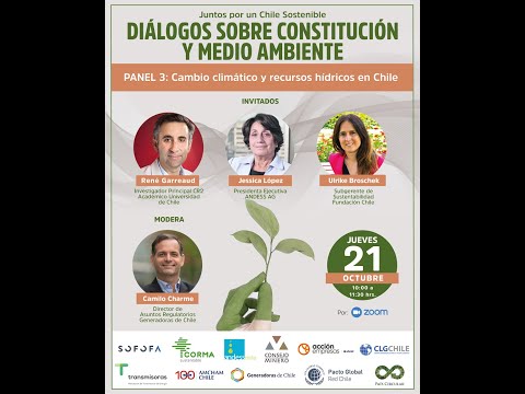 DIÁLOGOS SOBRE CONSTITUCIÓN Y MEDIO AMBIENTE - Panel 3