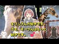 【新型アトレー】ぬるキャン△ 金沢動物園で望遠撮影(EOS RPとRF100 400mm F5 6 8 IS USM)