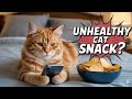 Animals Acting Like Humans 😂 | Funniest Animal Moments 2026