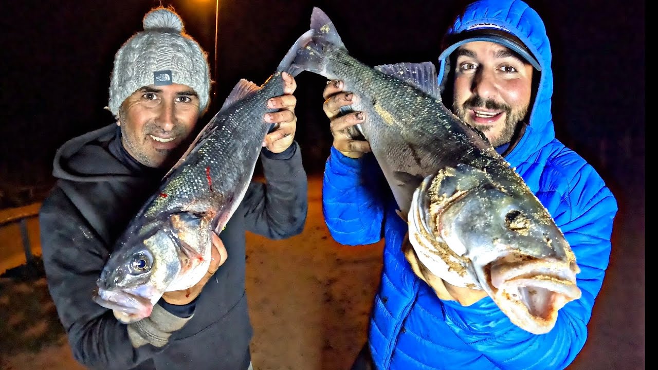 🔵 SURFCASTING en CONIL en BUSCA de GRANDES LUBINAS