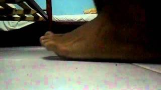 rebolation profisional 2