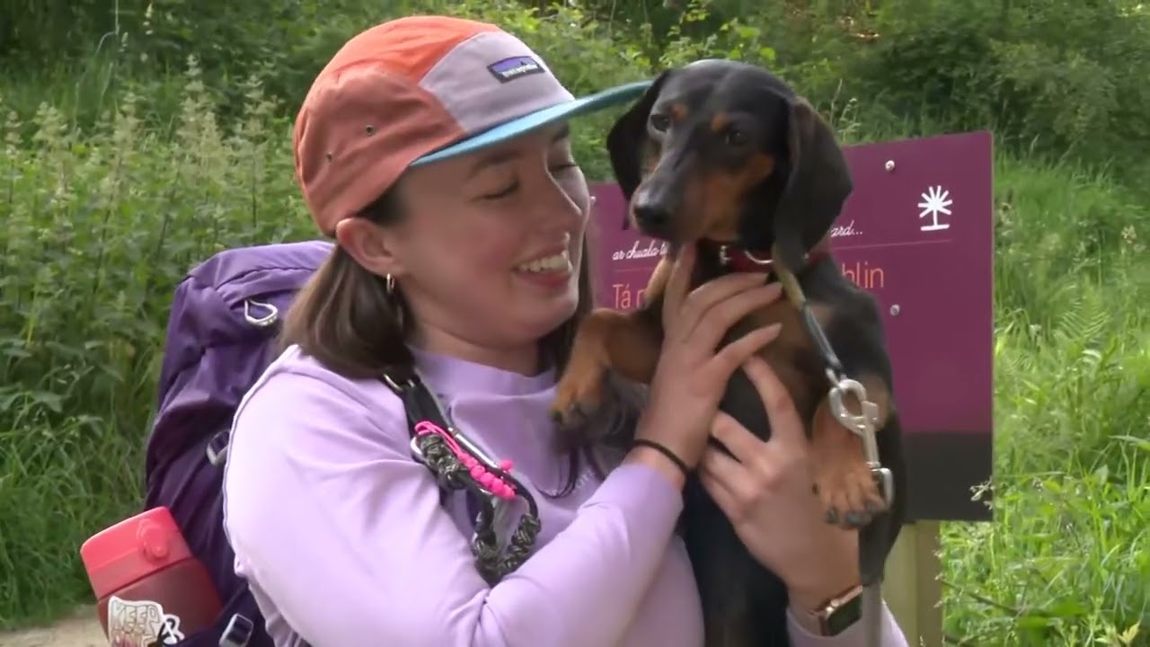 16.06.23 Hike time with Galz Gone Wild up the Dublin Mountains!