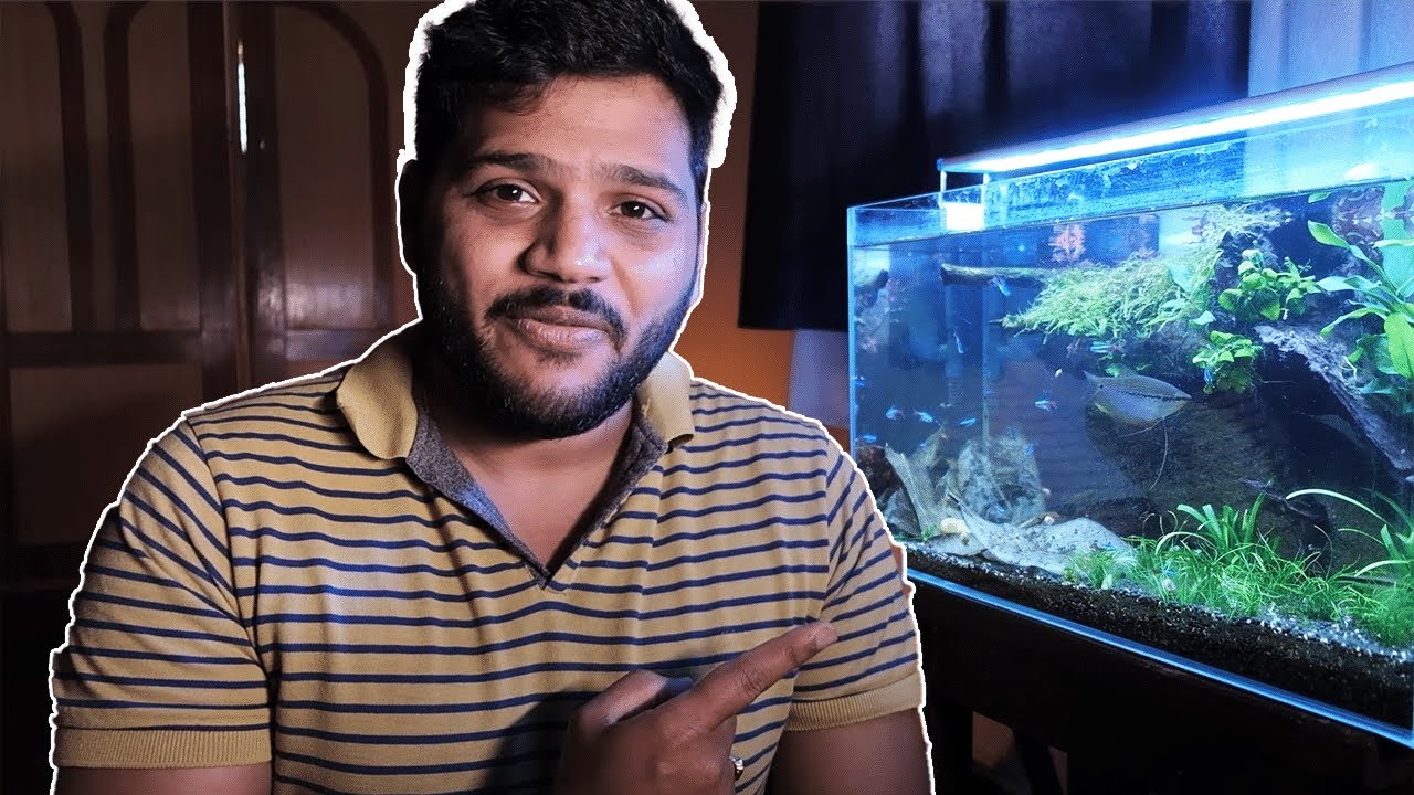 MY FISH HELPED ME CRACK NEET ! NEET Motivation.