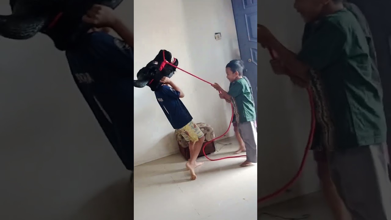 barongan : bocil bocil