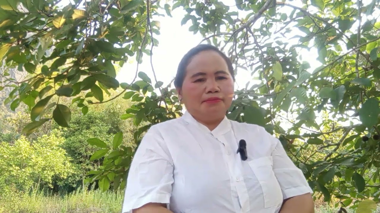 13 ກຸມພາ 2026