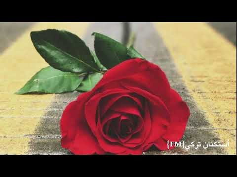 موسيقى خيبات الأمل لحن مطلوب موسيقى حزينه هادئه  
