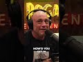 Joe Rogan White House C0caine Joe Rogan White House C0caine