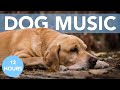 12 HOURS of Deep Relaxing Music for Dogs + Soothing Visuals!