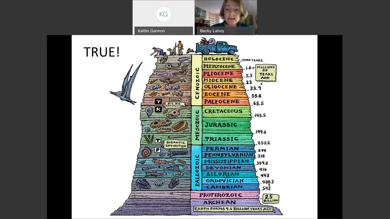 Creature Feature! "Shorebirds of New Jersey"