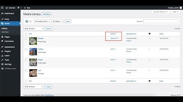 How to easily change media author in WordPress?