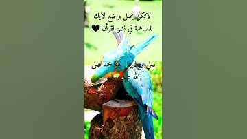تجويد القرأن الكريم بصوت عبد العزيز سحيم #عبدالعزيز_سحيم
